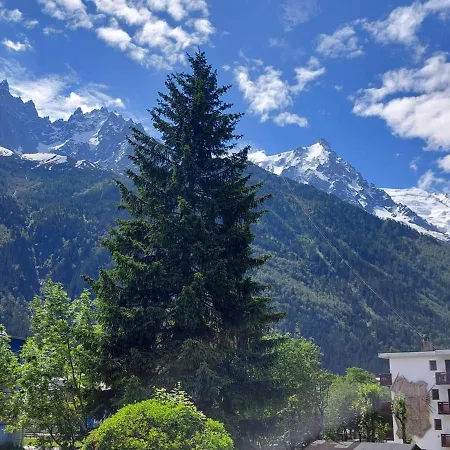 Cosy A - Animaux Admis, Parking Prive - Fr-1-517-21 Chamonix